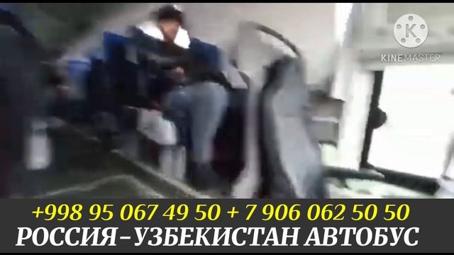 Россия Узбекистан автобус Москва Ташкент Краснодар Ташкент Санкт-Петербург Ташкент автобус