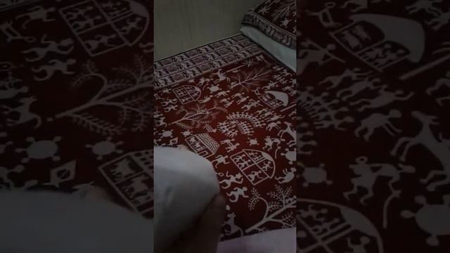 Комната в отеле в Индии. Как живёт шах Алам смотреть онлайн