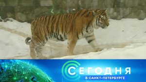 «Сегодня в Санкт-Петербурге»: 1 марта 2023 года