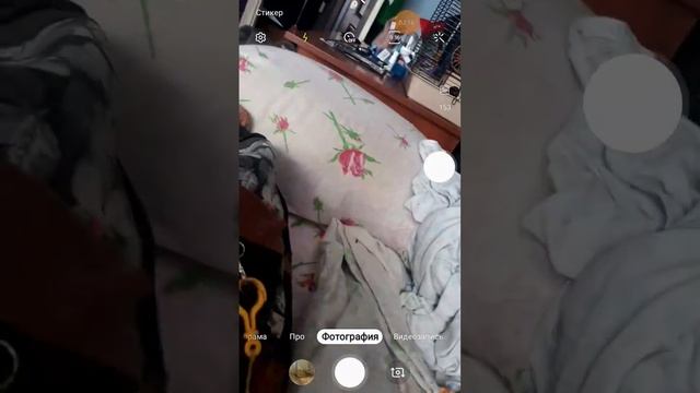 объёмную рюкзак 2 класса и 11 чек смотреть онлайн