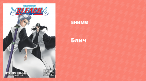 Блич: Вторжение в Готей 13 341 серия (аниме-сериал, 2004)