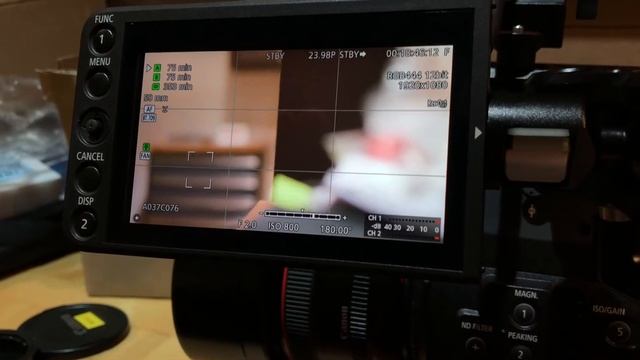 Canon C300 Mark II with LM-V1 Touchscreen Monitor смотреть онлайн