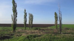 Опустевший хутор Палатовский (Смирновский), Саратовский район.