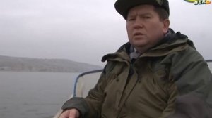 Ловля судака. Ловля судака с Алексеем Чернушенко.