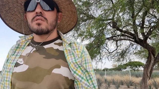 Porque es la mejor inversión de mi dinero, en tenerlo en agave? смотреть онлайн