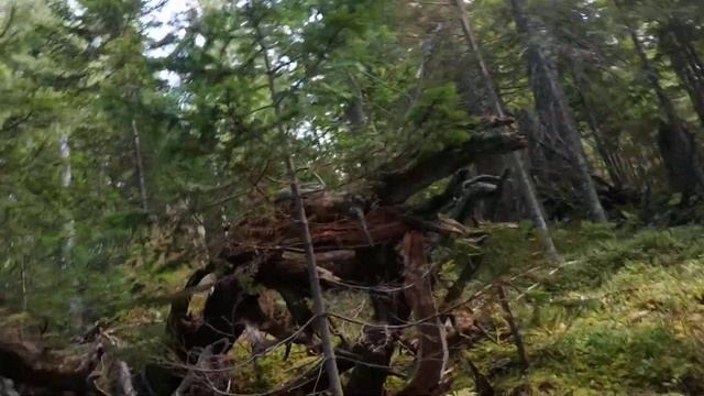 Сказка: где найти идеи для творчества #348 смотреть онлайн