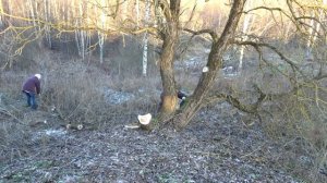 Дом в деревне.[пилим деревья]