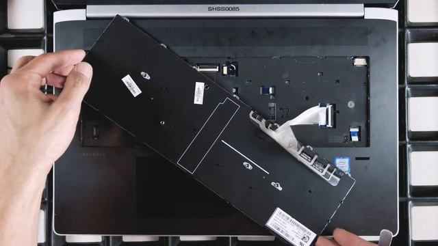 HP ProBook 470 G5 von Innen - RAM, SSD, Akku, Lüfter wechseln - Anleitung смотреть онлайн