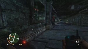 Far Cry 3: Грязные алмазы