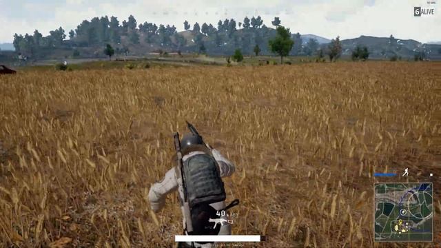 Cheeky Chicken dinner - Battlegrounds смотреть онлайн