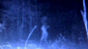 ЖУТКИЕ СУЩЕСТВА, СНЯТЫЕ НА КАМЕРУ. Человекоподобные криптиды.