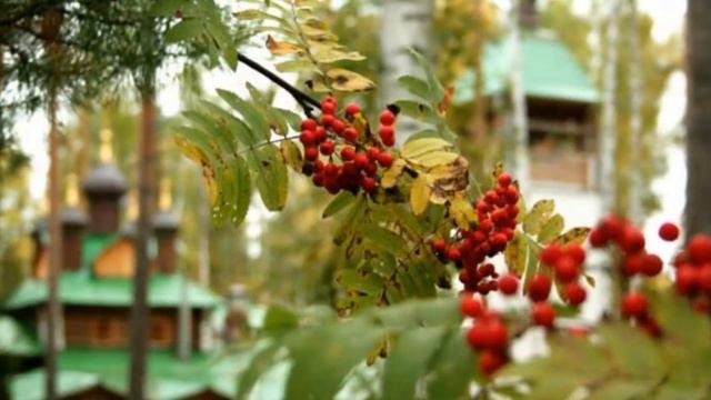Вижу чудное приволье... смотреть онлайн