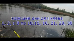Прогноз клева рыбы на Июнь 2023. Календарь рыбака на Июнь. Лунный календарь рыбака #рыбалка2023