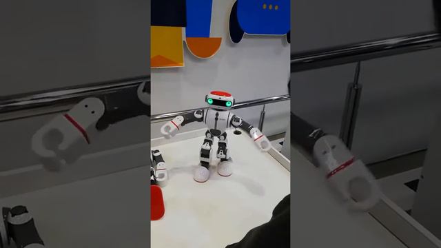 Выставка "роботехника" в Сочи