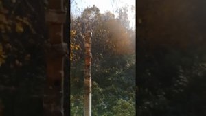 ШОМПОЛ СВОИМИ РУКАМИ ДЛЯ ЛЮБОГО КАЛИБРА.