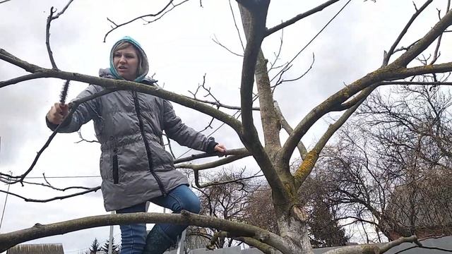 【7】КАК ПОБЕЛИТЬ ДЕРЕВЬЯ ВЕСНОЙ смотреть онлайн