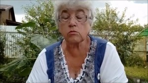 Роза Шпатель. Дотянуться до звёзд или деньги не пахнут.