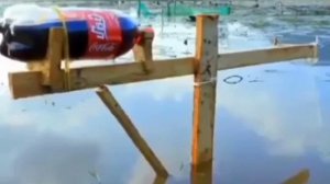 Летняя жерлица.