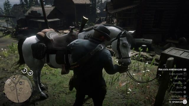 Странное кормление лошади Red Dead Redemption 2 смотреть онлайн