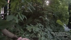 Услуги по поиску животных тепловизором