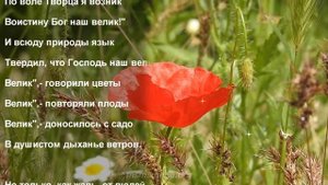 Велик наш Творец ? Стихи на жатву
