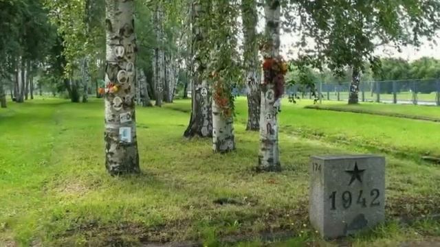 Закаты алые Авторы Н Осошник,В Осошник кавер Г Погорельская смотреть онлайн