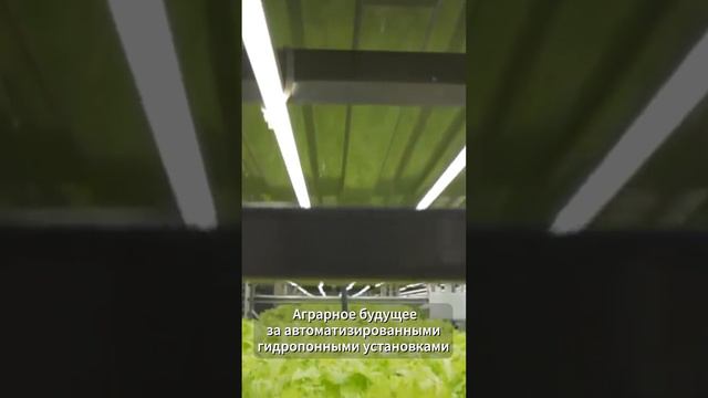 Автоматизации гидропонной системы EZplant, с возможностью управлением через интернет. Презентация.