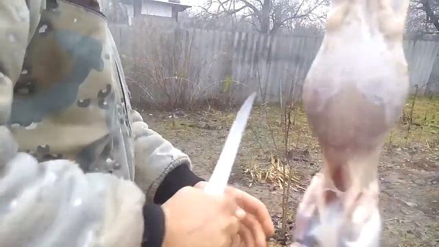 Снимаем шкурку с тушки кролика смотреть онлайн