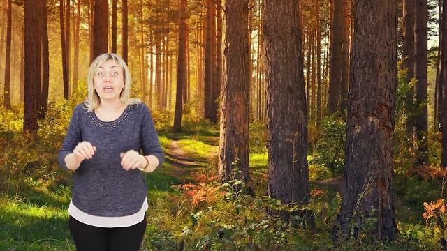 Загадки для малышей смотреть онлайн