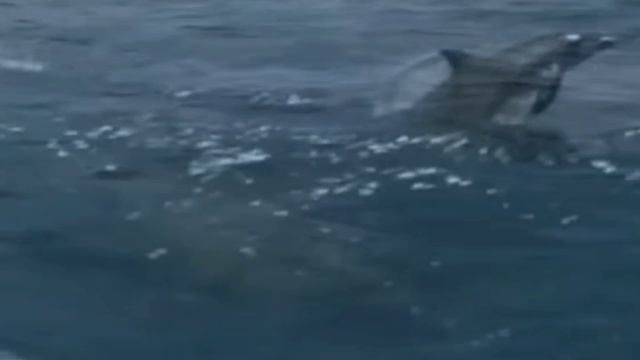 Транзит Юпитера в Тельце, что ждёт Козерогов, Водолеев и Рыб в 2023-2024 году