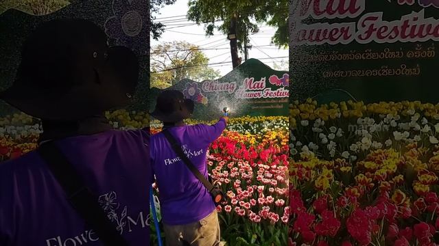 чиангмай. просто парк, вечер-еет ч.1. nong_buak_haad_public_park สวนสาธารณะหนองบวกหาด