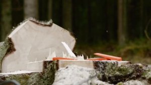 Новая бензопила HUSQVARNA 592 XP®