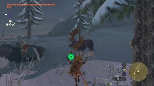 The Legend of Zelda Tears of the Kingdom : как фармить деньги