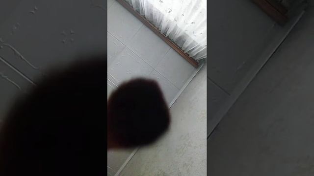 АСМР ЗВУКИ РТА 2 ЧАСТЬ!!? МУРАШКИ 100% И СЛАДКИЙ СОН ? смотреть онлайн