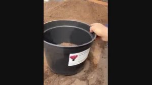 17. 04. 2023 г. Садовый дворик у меня в гостях.