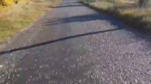 Обзор на мопед дельта / Дельта 50 кб.