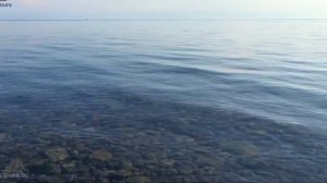 "Ох, счастье, мое счастье"