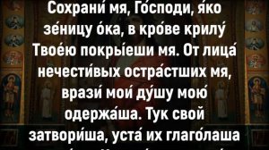 ПОСЛЕ ЭТОЙ РЕДКОЙ МОЛИТВЫ НА ДУШЕ СТАНОВИТСЯ СПОКОЙНО. Иисусова молитва. Слушать псалом 16