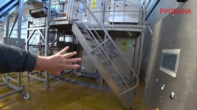 Цветная капуста и брокколи - линия заморозки 2000 кг/час. Мойка и шоковая заморозка овощей на завод смотреть онлайн