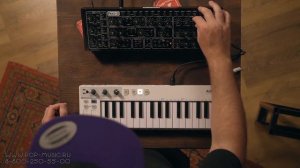 Behringer PRO 1 - аналоговый синтезатор с традиционным электронным звуком