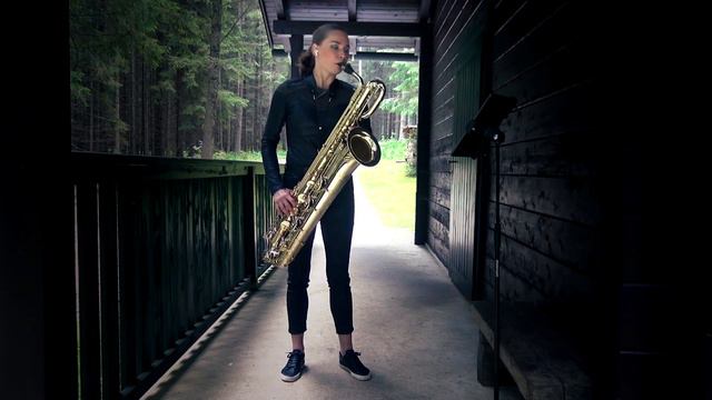 Wayne Siegel: SALAMANDER for baritone saxophone and electronics смотреть онлайн