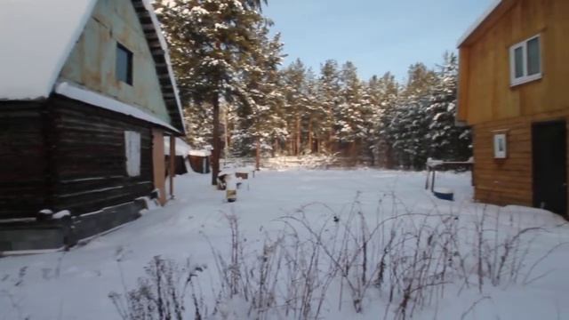 Видеообзор участка с домом и домом-баней в Палкинском Торфянике СНТ "Архитрав". смотреть онлайн