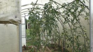 Деревни в глубинке России. Деревня Крутиха. Бабушка продает дом в деревне. Дом за миллион.