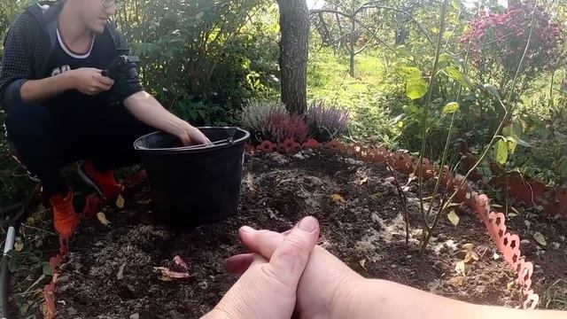 семейные посиделки НОВЫЕ ПИТОМЦЫ НАШЕГО САДА / Миняева Юлия и Илья Миняев