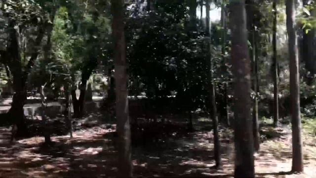 Peaceful Morning at Angkor смотреть онлайн