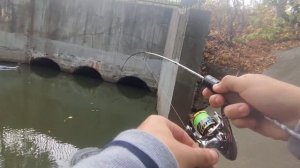 #17 Мормышинг . Осень-время пескаря  .#мормышинг #окунь #пескарь #рыбалка