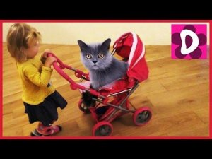 ✿ Котик в Колясочке Диана Играет в Гостях Баюкаем Кота в Люлечке Play with cat doll in a stroller