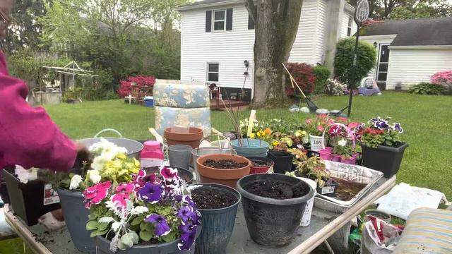 Planting arrangements in containers смотреть онлайн