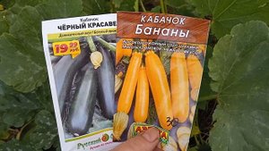 Кабачки.Черный красавец@&Бананы