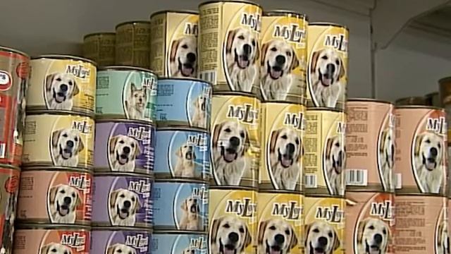 Зоовсовет об отличиях сухого корма от влажного смотреть онлайн